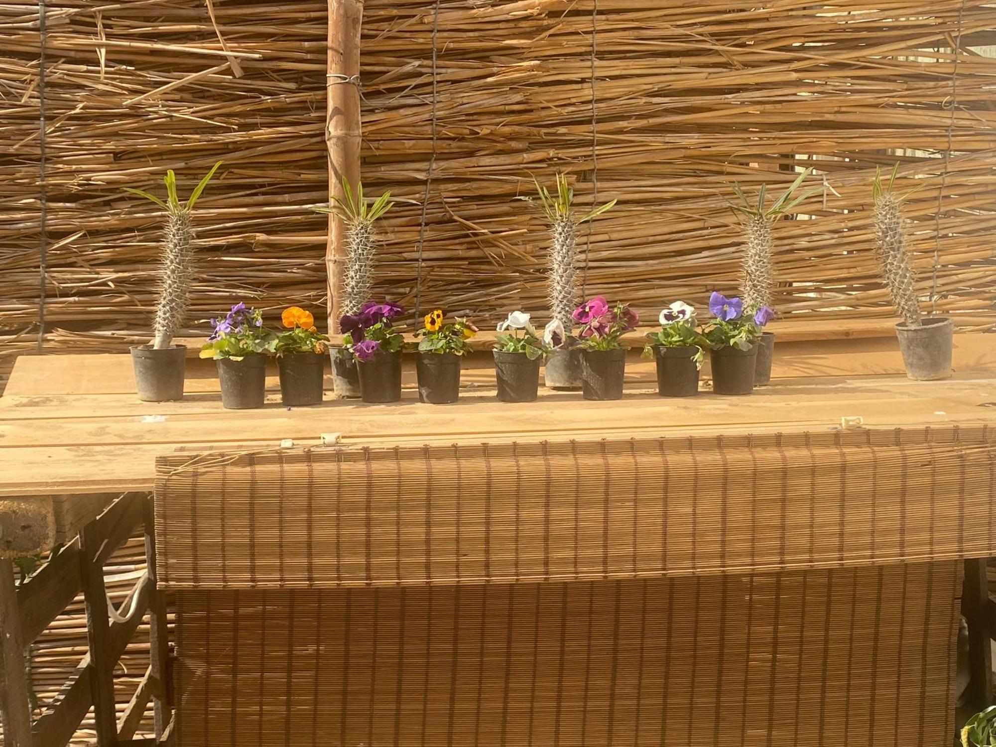 Airport Rooftop Club Luxurious Rooms And Studios Kairo Bagian luar foto